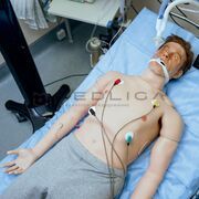 MedVision Leonardo HF