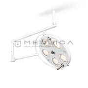 FotonFly 6М , Тип светильника (вариации): Потолочный 