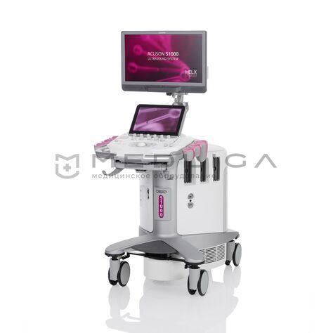 Siemens ACUSON S1000