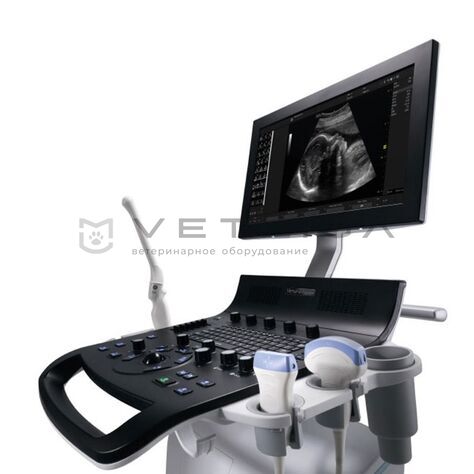 GE Versana Essential, 7