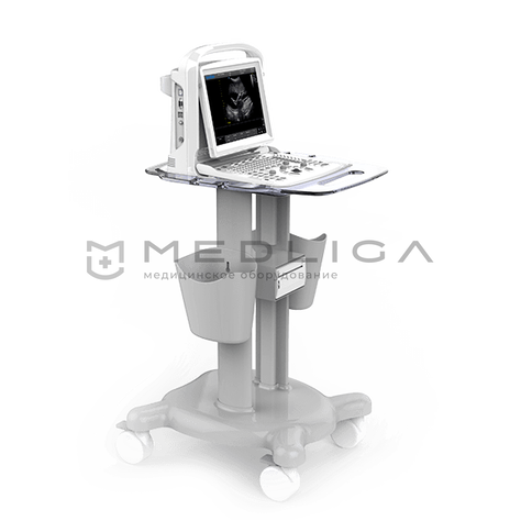 CHISON ECO 3 Expert, 3