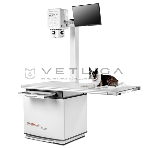 GIERTH SMOVE 200 DR, 2