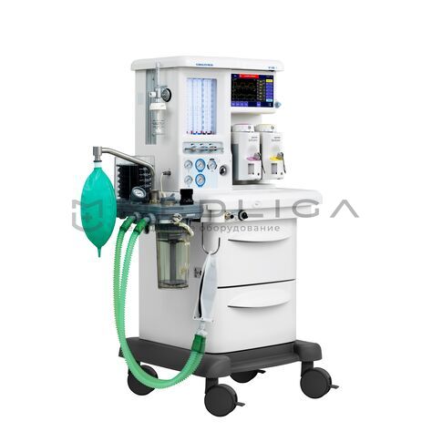 MS Westfalia Maja X45, 3