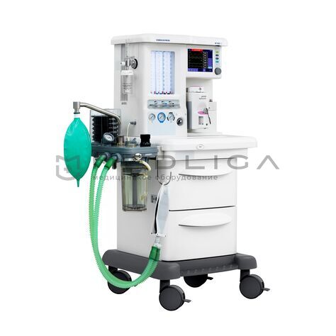 MS Westfalia Maja X40, 5