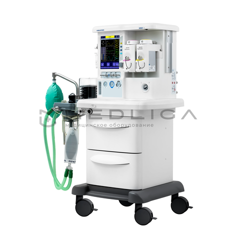 MS Westfalia Maja X50, 3