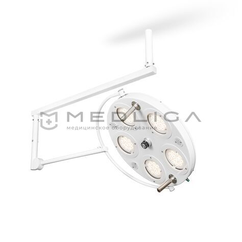 FotonFly 6М , Тип светильника (вариации): Потолочный 