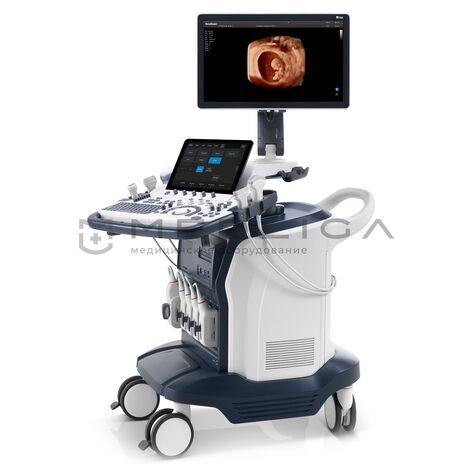 SonoScape S60, Сегмент: Частный