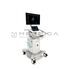 GE Healthcare Vivid T8, 5